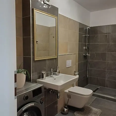 Dina - 68 * Timişoara