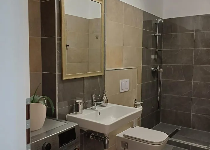 Dina - 68 * Timişoara