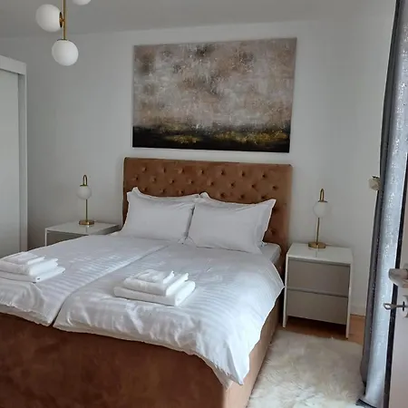 Dina - 68 Тимишоара