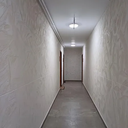 Dina - 68 Тимишоара