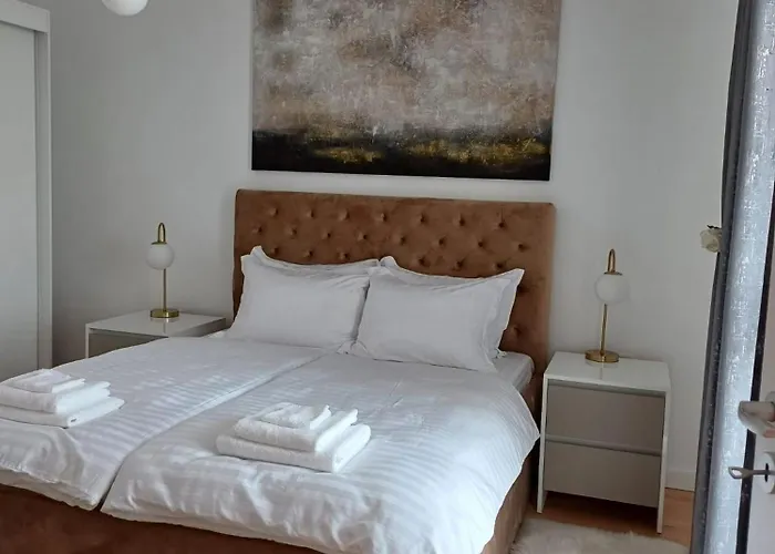 Dina - 68 Timişoara