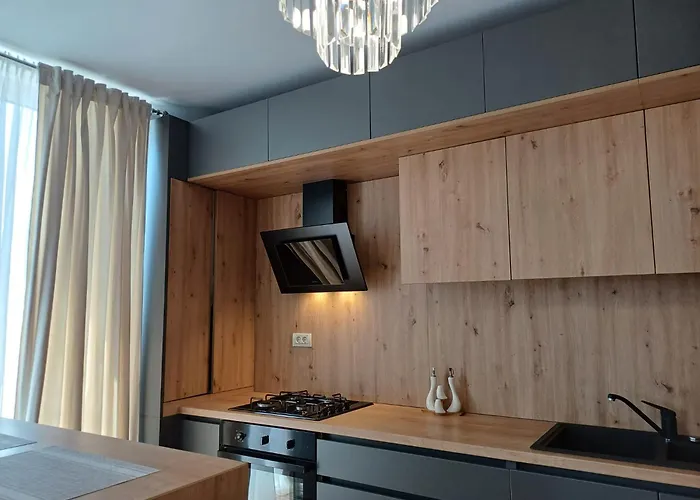 Dina - 68 Apartment Timişoara