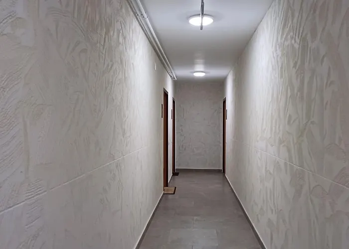 Dina - 68 Timişoara